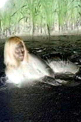 Person with long hair submerged in water with greenery in the background