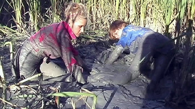 ダブルショット クレイ 01a